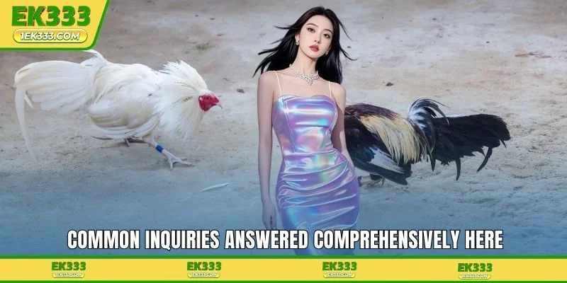 Common inquiries answered comprehensively here