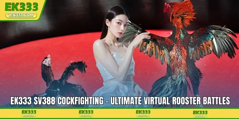 EK333 SV388 Cockfighting - Ultimate Virtual Rooster Battles