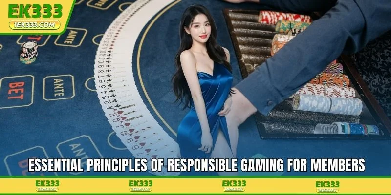 Essential principles of Responsible Gaming for members