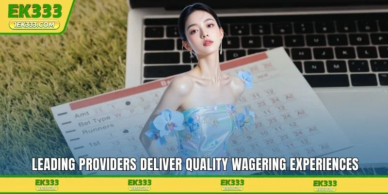 Leading providers deliver quality wagering experiences