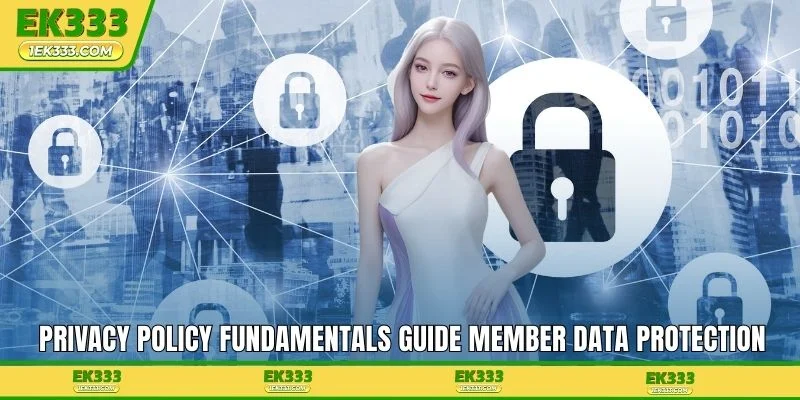 Privacy Policy fundamentals guide member data protection