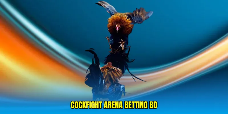 Cockfight arena betting BD