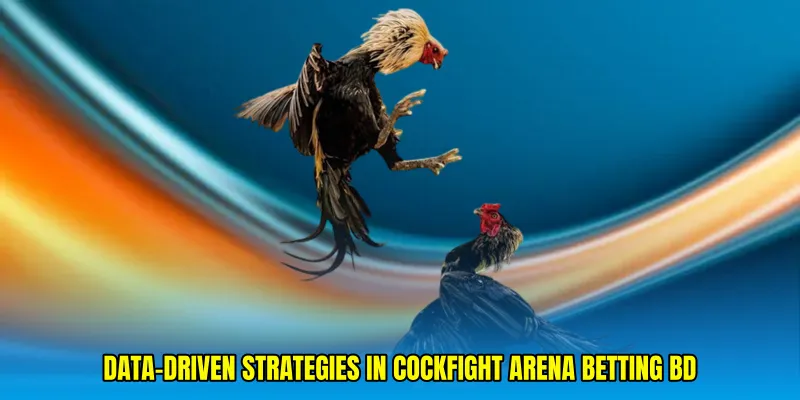 Data-Driven Strategies in Cockfight Arena Betting BD