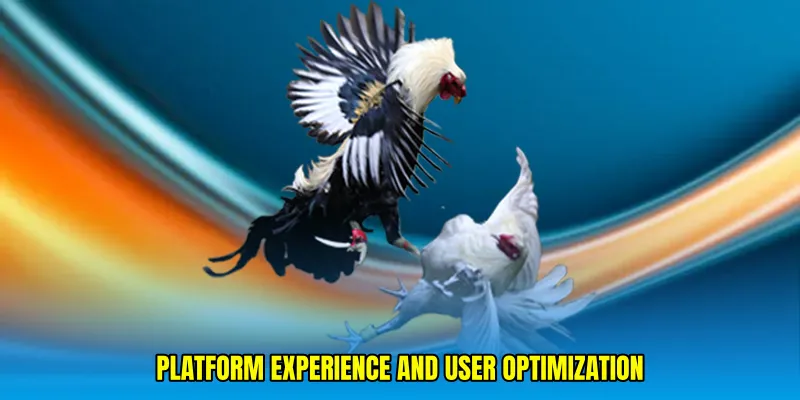 Platform Experience and User Optimization